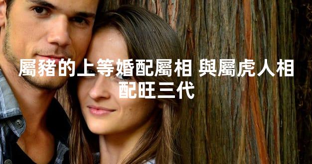 屬豬的上等婚配屬相 與屬虎人相配旺三代